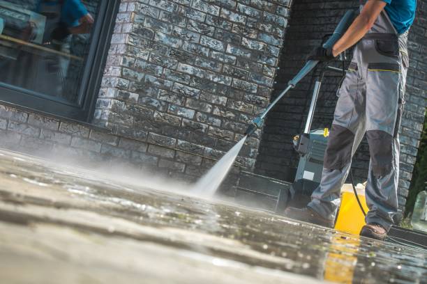 Best Pre-Holiday Cleaning  in Shafter, CA